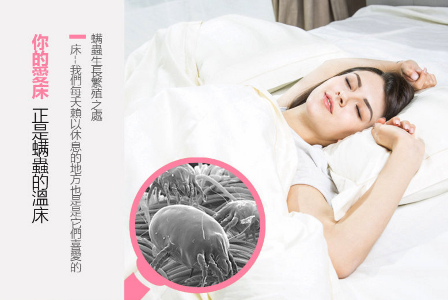 Harrow - HT-VC608 三合一UV除蟎吸塵機 (隨機加送2個HEPA濾芯)